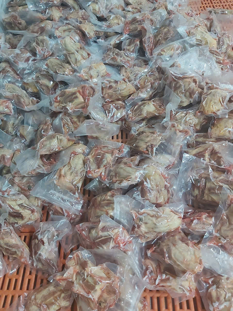 Chim đông lạnh hút chân không